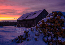 Tableau hivernal – photographie de nature – projet personnel